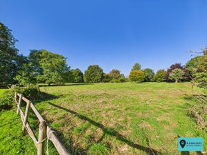 Paddock- click for photo gallery